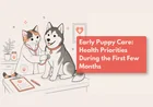 First-Time Puppy Care Guide