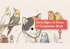 How Can I Tell If My Pet Bird Is Sick?