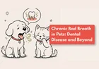 Why Does My Dog’s Breath Smell So Bad?