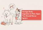 My Dog Swallowed Plastic — What Should I Do?