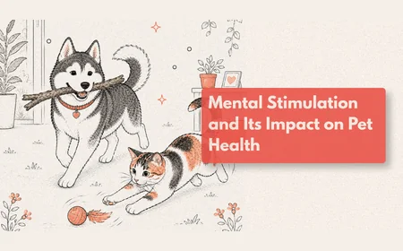 How Do I Mentally Stimulate My Dog?