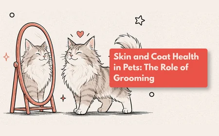 How Often Should I Groom My Dog?