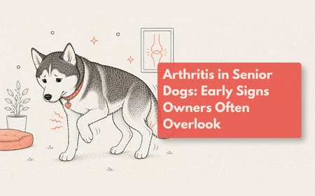 How Do I Know If My Dog Has Arthritis?