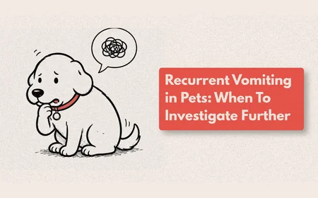 Why Does My Dog Keep Vomiting?