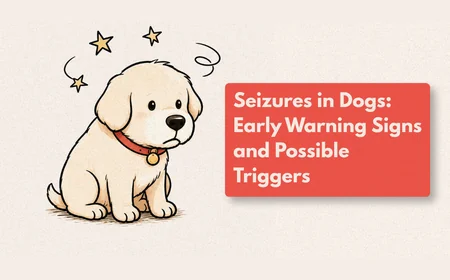 What Does a Dog Seizure Look Like?