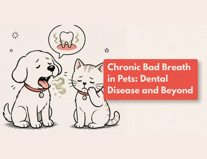Why Does My Dog’s Breath Smell So Bad?