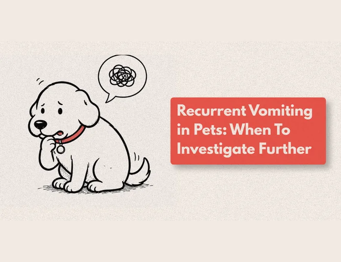 Why Does My Dog Keep Vomiting?