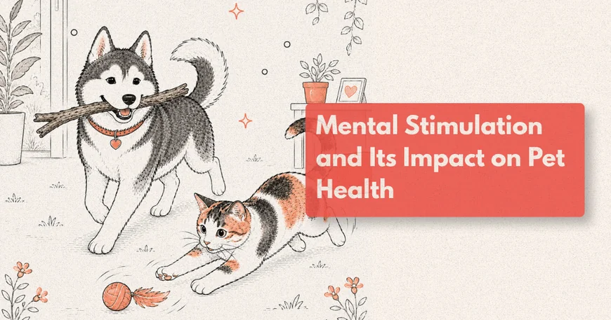 How Do I Mentally Stimulate My Dog?
