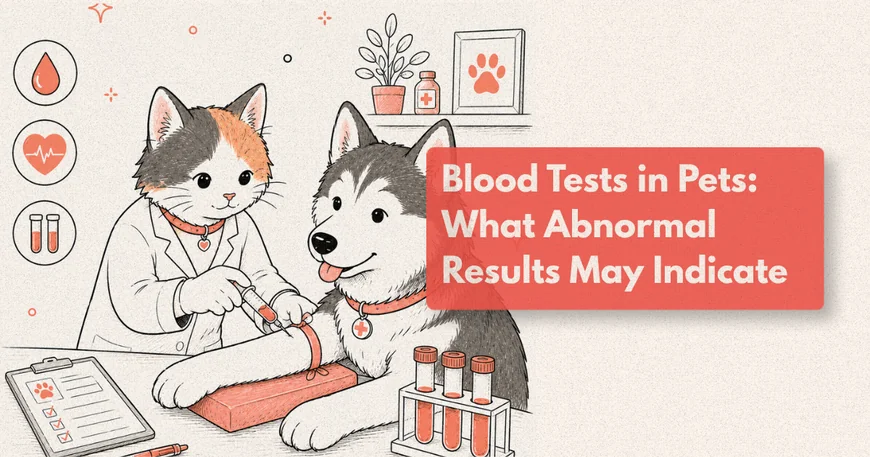 What Do High Liver Values Mean in Dogs?