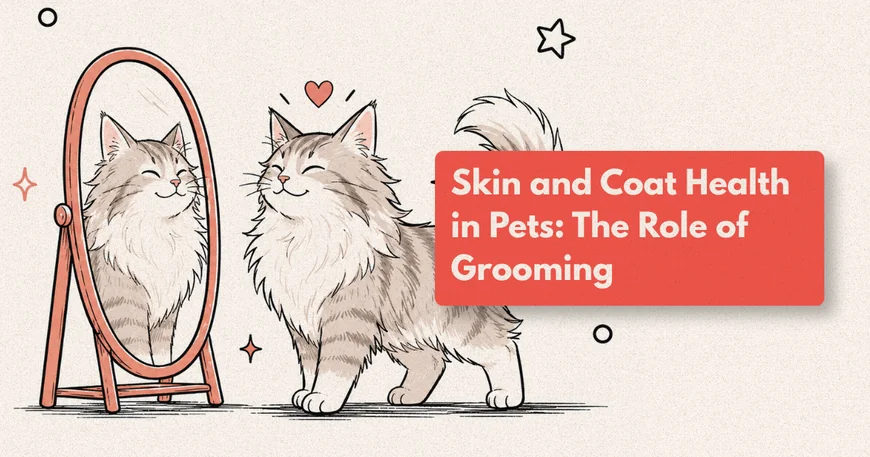 How Often Should I Groom My Dog?