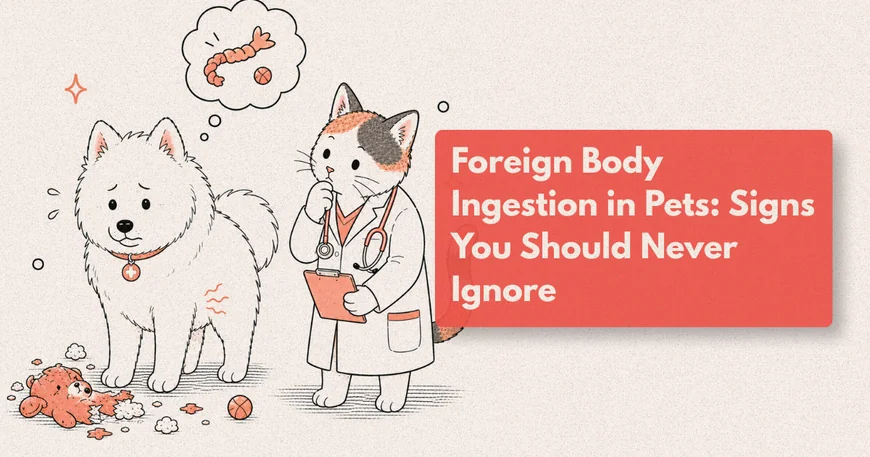 My Dog Swallowed Plastic — What Should I Do?