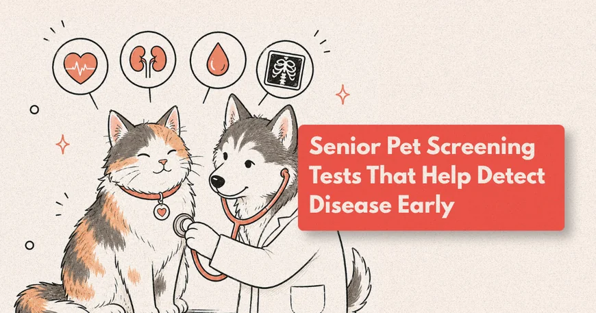 Does My Older Dog Need Blood Tests?
