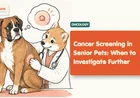 Cancer Screening in Senior Pets: When to Investigate Further