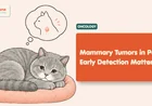 Mammary Tumors in Pets: Early Detection Matters
