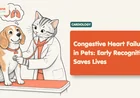 Congestive Heart Failure in Pets: Warning Signs Guide