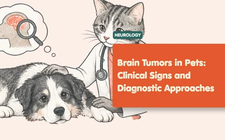 Brain Tumor in Dogs: Warning Signs and Next Steps