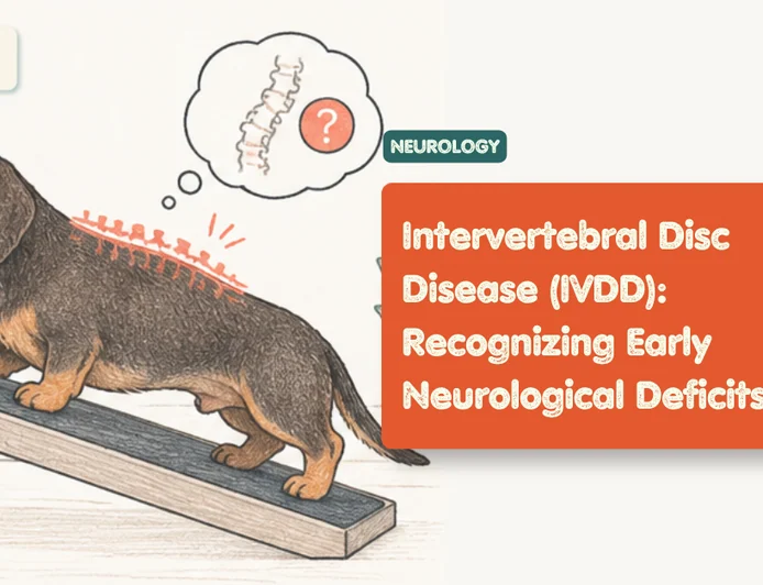 IVDD in Dogs: How to Recognize Early Neurological Deficits