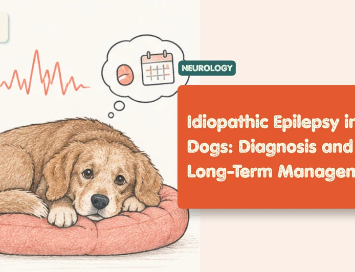 Epilepsy in Dogs: Diagnosis and Long-Term Management (2026)