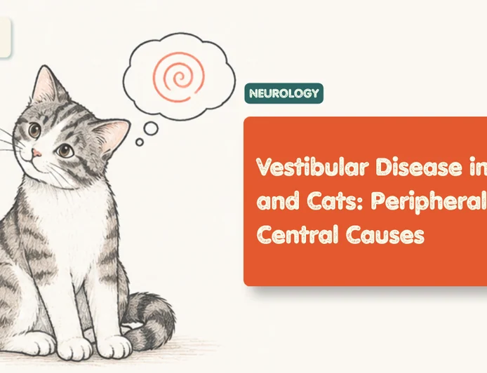 Vestibular Disease in Dogs and Cats: Complete Guide
