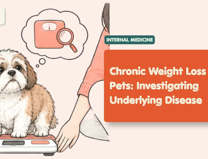 Chronic Weight Loss in Pets: Investigating Underlying Disease