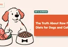 Raw Food Diet for Dogs: Is It Actually Safe?