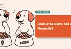Is Grain-Free Pet Food Better for Dogs and Cats?