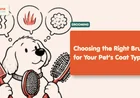 Best Brush for Dogs and Cats by Coat Type