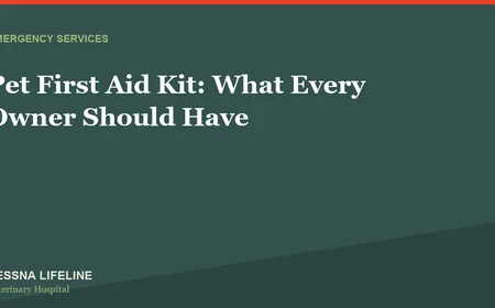 Pet First Aid Kit: What Every Owner Should Have