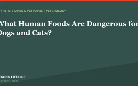 What Human Foods Are Dangerous for Dogs and Cats?