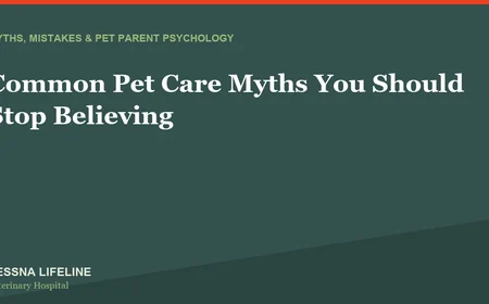 Common Pet Care Myths You Should Stop Believing