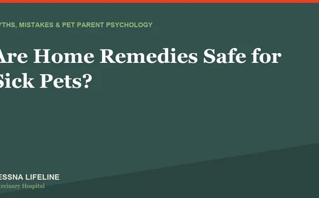 Are Home Remedies Safe for Sick Pets?