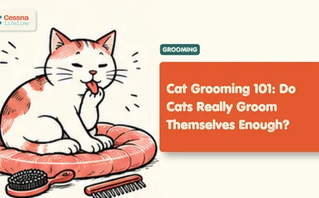 Cat Grooming: How Often Do Cats Need It?