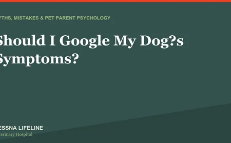 Should I Google My Dog’s Symptoms?