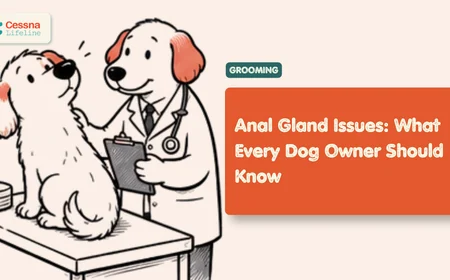 Dog Anal Gland Problems: Signs, Causes and Care