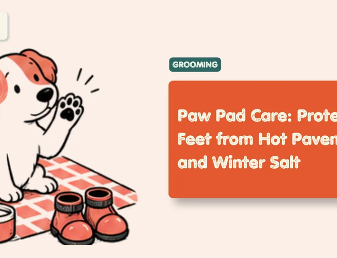 Dog Paw Pad Care: Heat, Salt and Cracked Pads