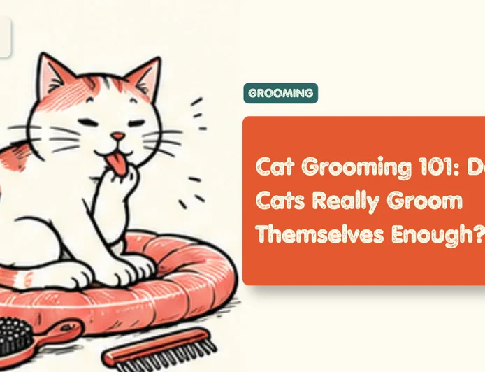 Cat Grooming: How Often Do Cats Need It?