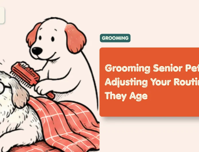 Senior Pet Grooming: How to Groom an Older Dog
