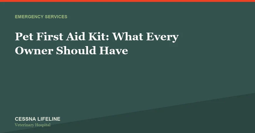 Pet First Aid Kit: What Every Owner Should Have