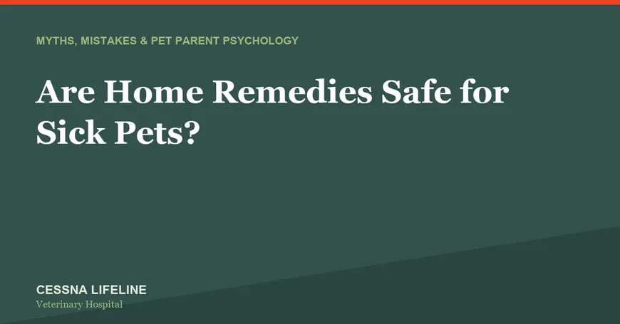 Are Home Remedies Safe for Sick Pets?