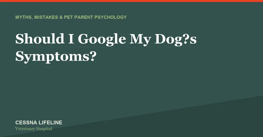 Should I Google My Dog’s Symptoms?