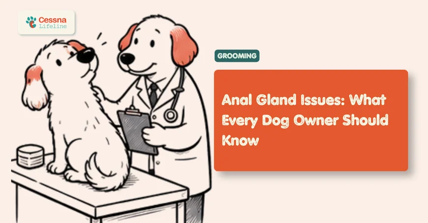 Dog Anal Gland Problems: Signs, Causes and Care