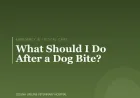 What Should I Do After a Dog Bite?