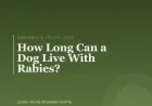 How Long Can a Dog Live With Rabies?