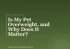 Is My Pet Overweight, and Why Does It Matter?