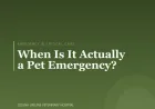 When Is It Actually a Pet Emergency?