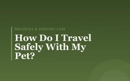 How Do I Travel Safely With My Pet?