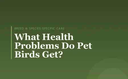 What Health Problems Do Pet Birds Get?