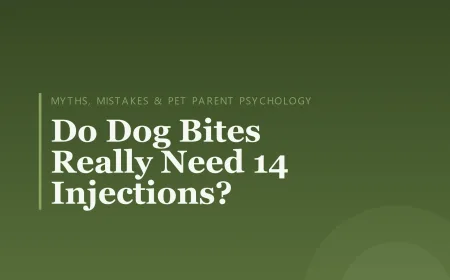 Do Dog Bites Really Need 14 Injections?