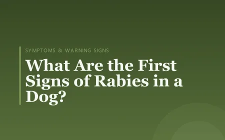 What Are the First Signs of Rabies in a Dog?