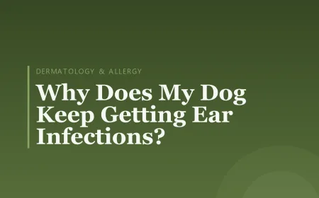 Why Does My Dog Keep Getting Ear Infections?